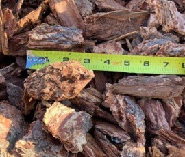 Medium Nugget, Fir Bark