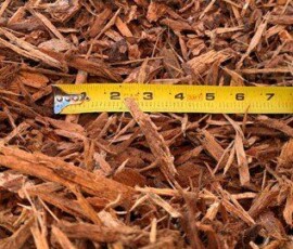 Medium Shread Bark